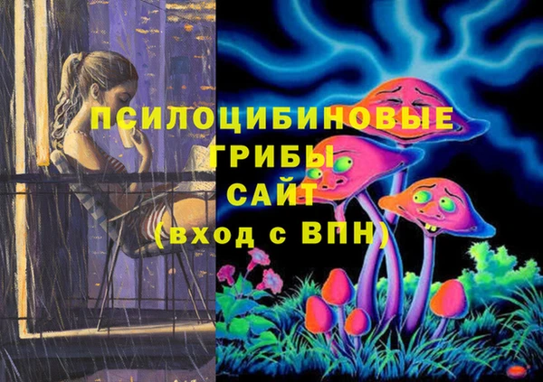 Альфа ПВП Абдулино