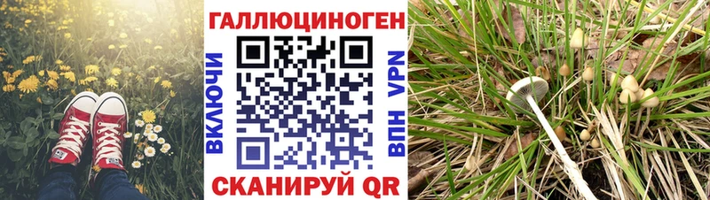 сколько стоит  Прокопьевск  Галлюциногенные грибы прущие грибы 