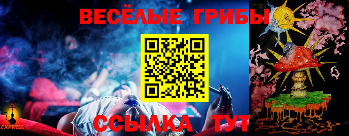 Псилоцибиновые грибы Magic Shrooms  Псилоцибиновые грибы мицелий  Прокопьевск  наркотики  Вход с VPN 